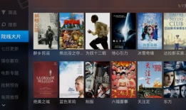 91在线家庭视频直播,打造温馨互动新体验